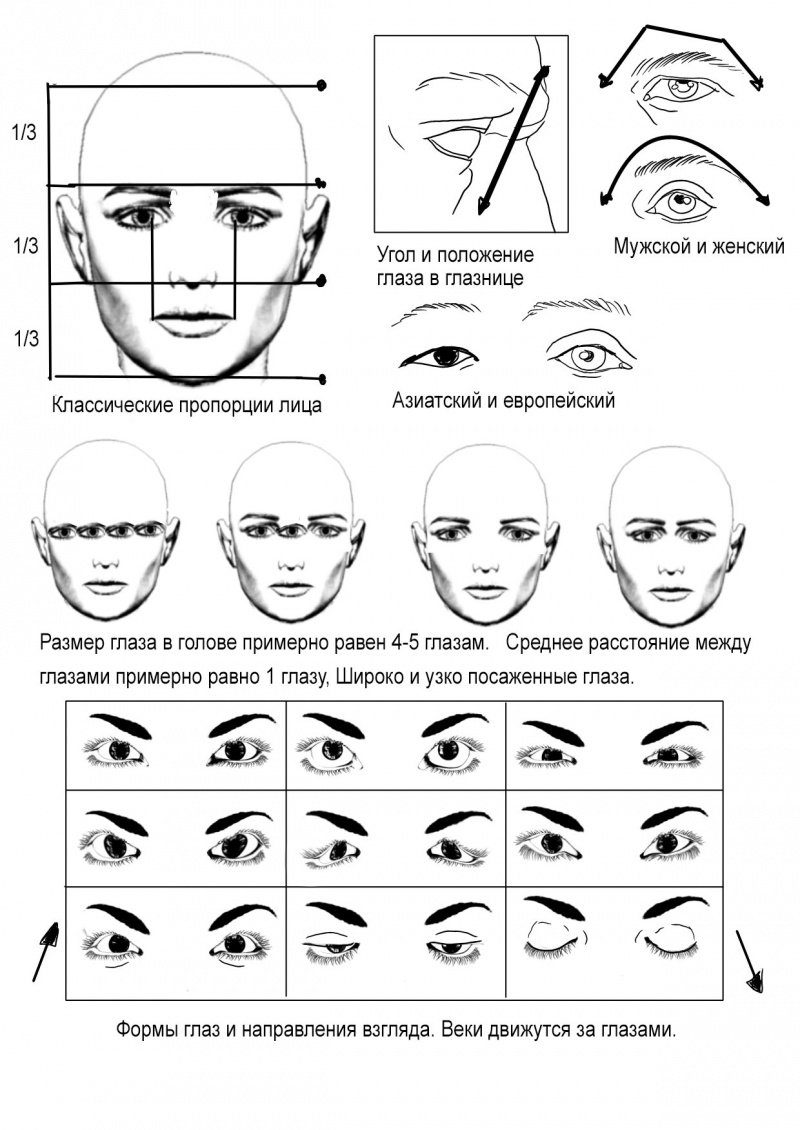 Положение глаз. Формы глаз схема. Форма глаз и бровей схема. Форма глаз, построение схемы. Схема моделирования лица.
