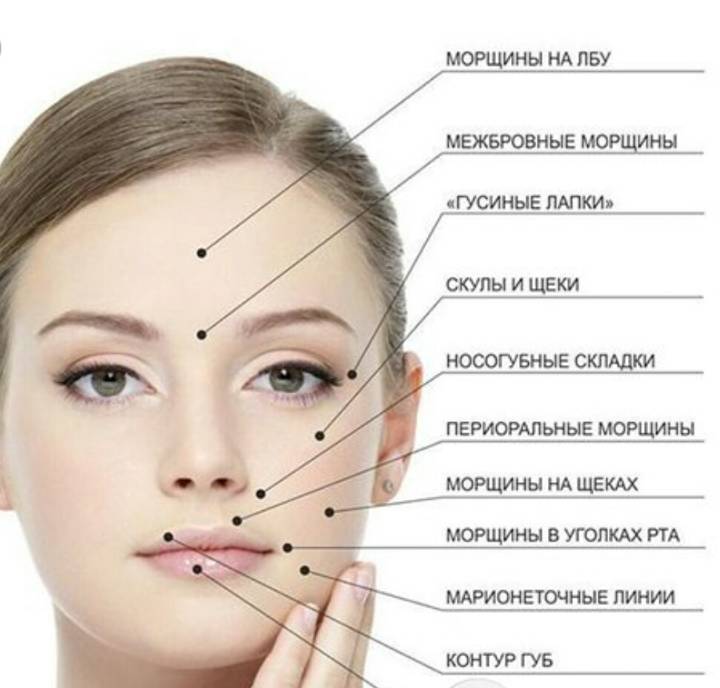 Мышцы лица в косметологии с описанием и схемами для ботокса