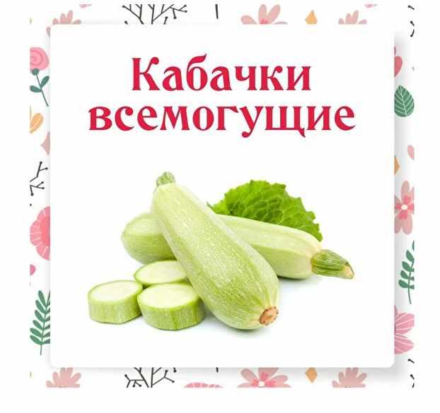 Ленивый Кулинар] Кабачки Всемогущие (Ольга Данчук, Елена Воронцова.